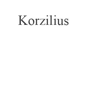 Naprawa Korzilius